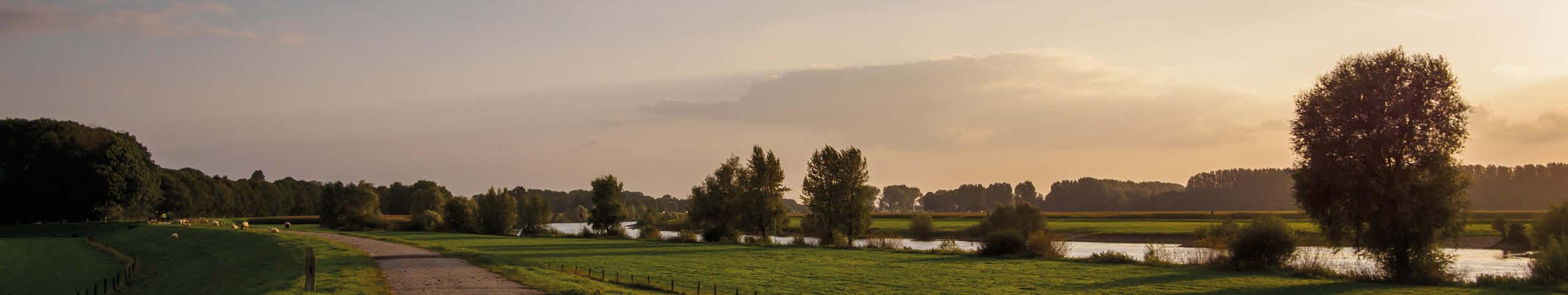 Banner Utrecht - Nederland